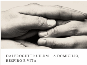 img articolo
